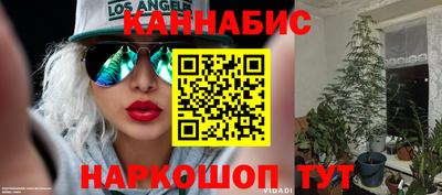 мяу мяу мука Будённовск