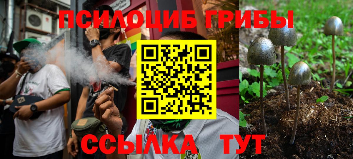 Псилоцибиновые грибы мицелий Вологда