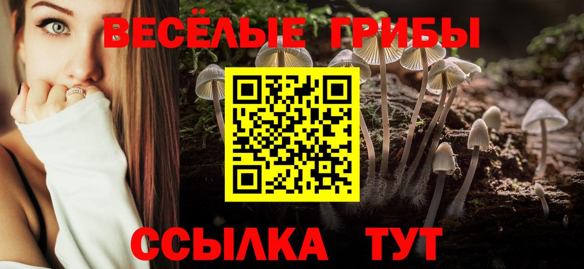 Вологда  цены   Вход с VPN  Галлюциногенные грибы мухоморы 